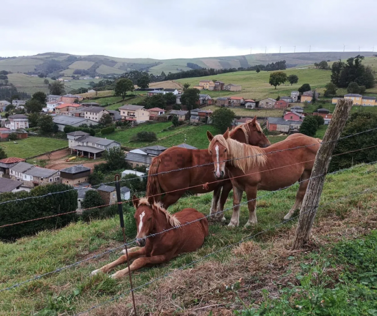 casa de pueblo en Ayones (22)